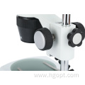 Binocular Head Microscope Electronic Stereo Microscope